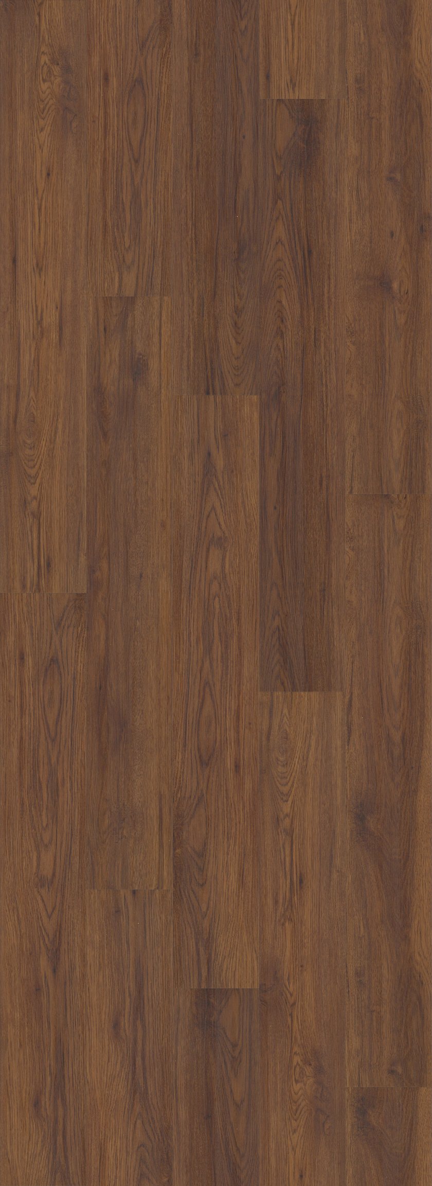 fidalgo-oak-coretec-floors-lvp