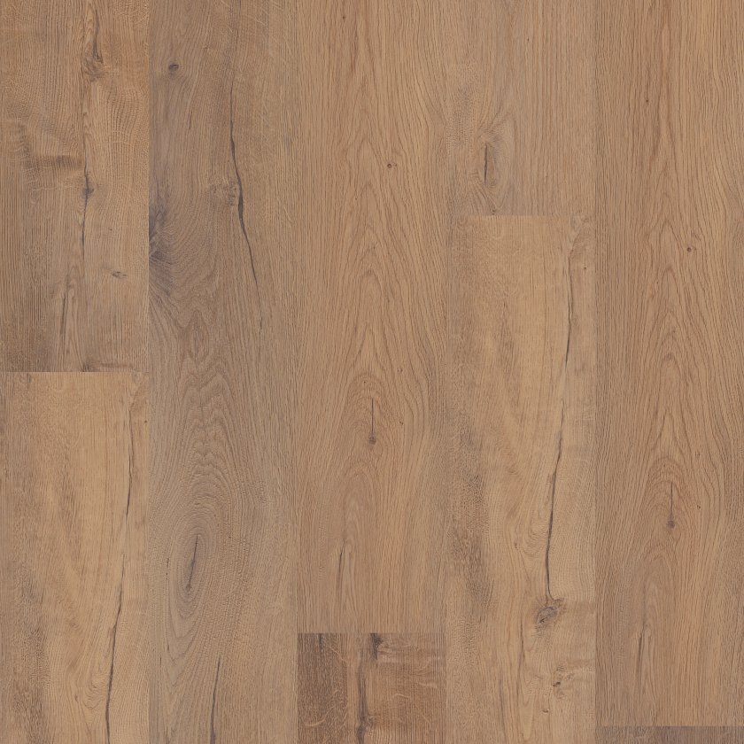 sand-dollar-oak-coretec-floors-lvp