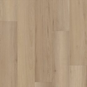 Woodbury Maple
