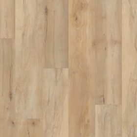 Brookfield Maple