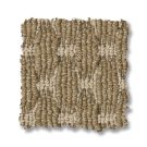 amber-havencrest-anderson-tuftex-carpet-rug