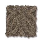 arrowhead-enlightened-charm-anderson-tuftex-carpet-rug