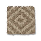 birchwood-aristocrat-anderson-tuftex-carpet-rug