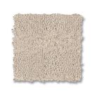 bliss-imagination-anderson-tuftex-carpet-rug