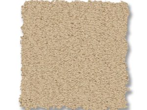 fresh-cream-finery-anderson-tuftex-carpet-rug