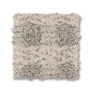 posh-imagination-anderson-tuftex-carpet-rug