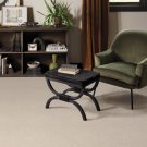 rs-birch-bali-anderson-tuftex-carpet-rug