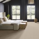rs-bliss-illumination-anderson-tuftex-carpet-rug