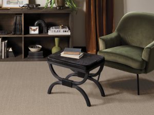 rs-blonde-kit-anderson-tuftex-carpet-rug
