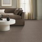 rs-cave-bali-anderson-tuftex-carpet-rug