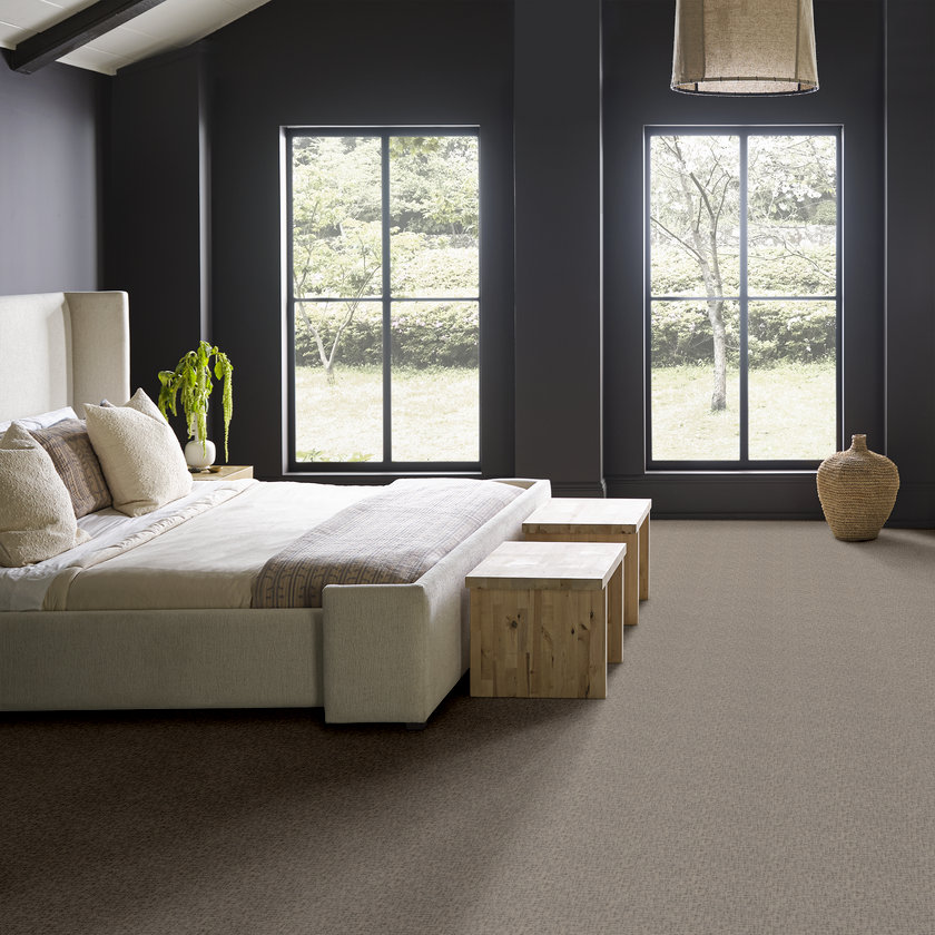 rs-grounded-caboodle-anderson-tuftex-carpet-rug