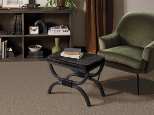 rs-rocky-road-fancy-that-anderson-tuftex-carpet-rug