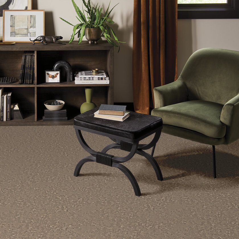 rs-rocky-road-fancy-that-anderson-tuftex-carpet-rug