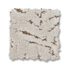 silver-fox-autograph-anderson-tuftex-carpet-rug