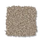 sugar-cookie-avalon-bay-anderson-tuftex-carpet-rug
