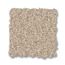 windswept-fabulous-anderson-tuftex-carpet-rug