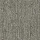 barrel-cactus-baja-dreamworks-carpet-rug