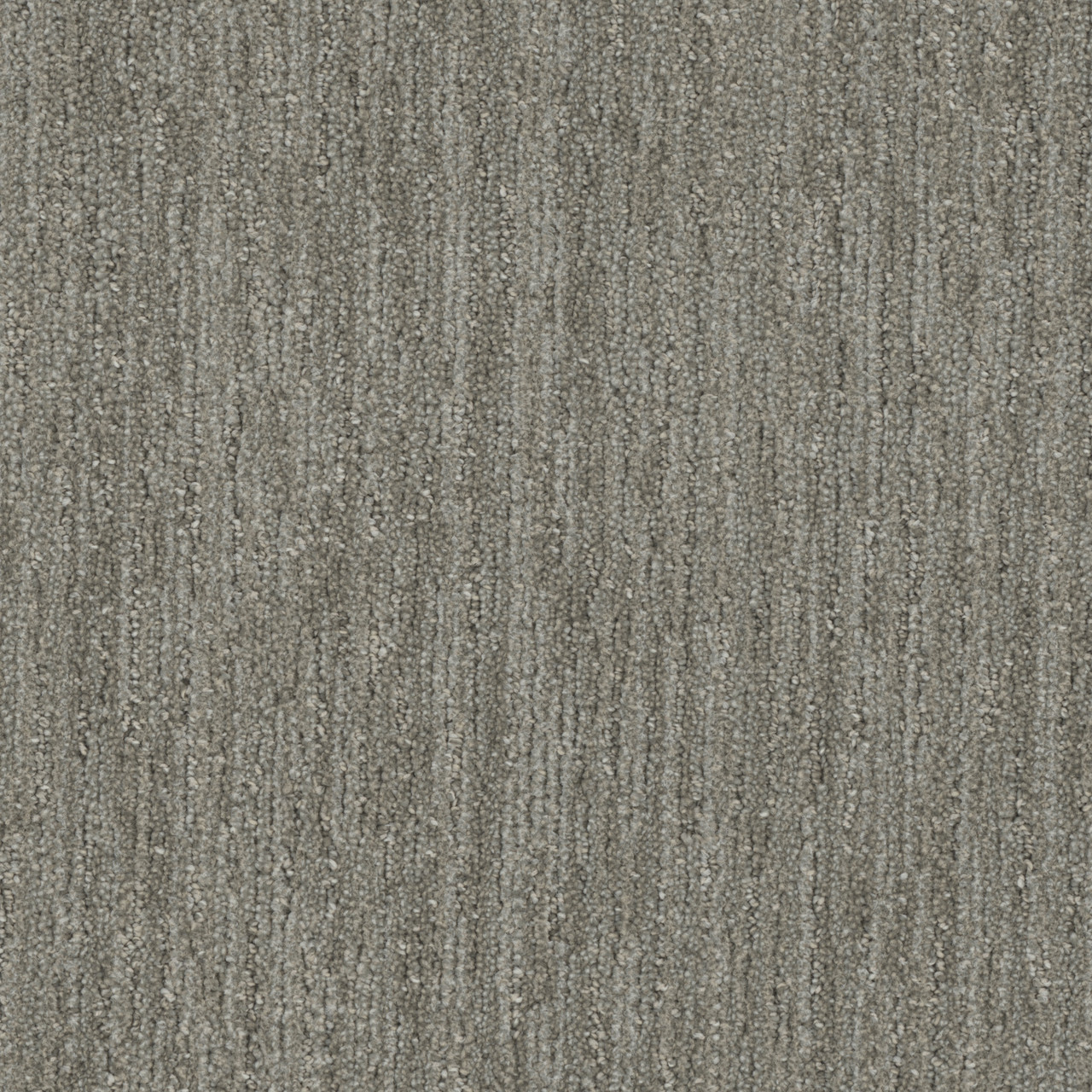 barrel-cactus-baja-dreamworks-carpet-rug