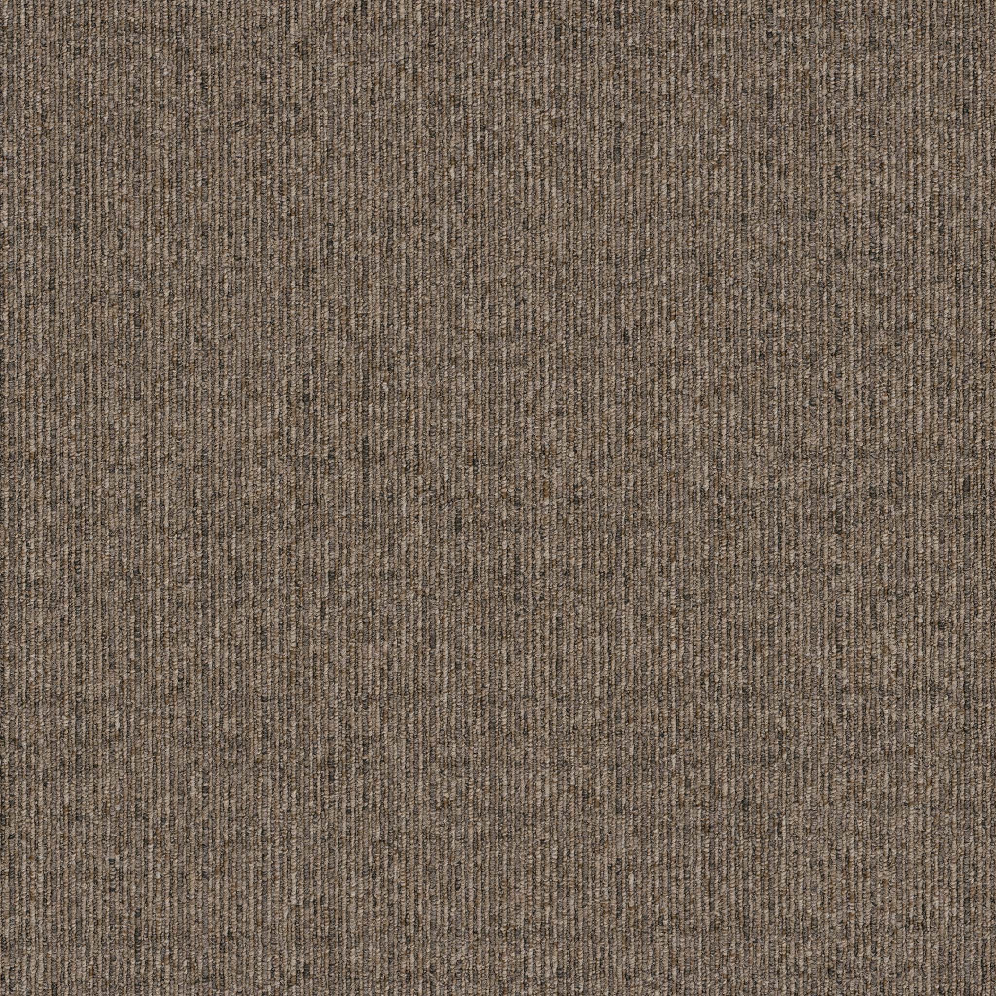 basin-oasis-pentz-flooring-carpet-tile