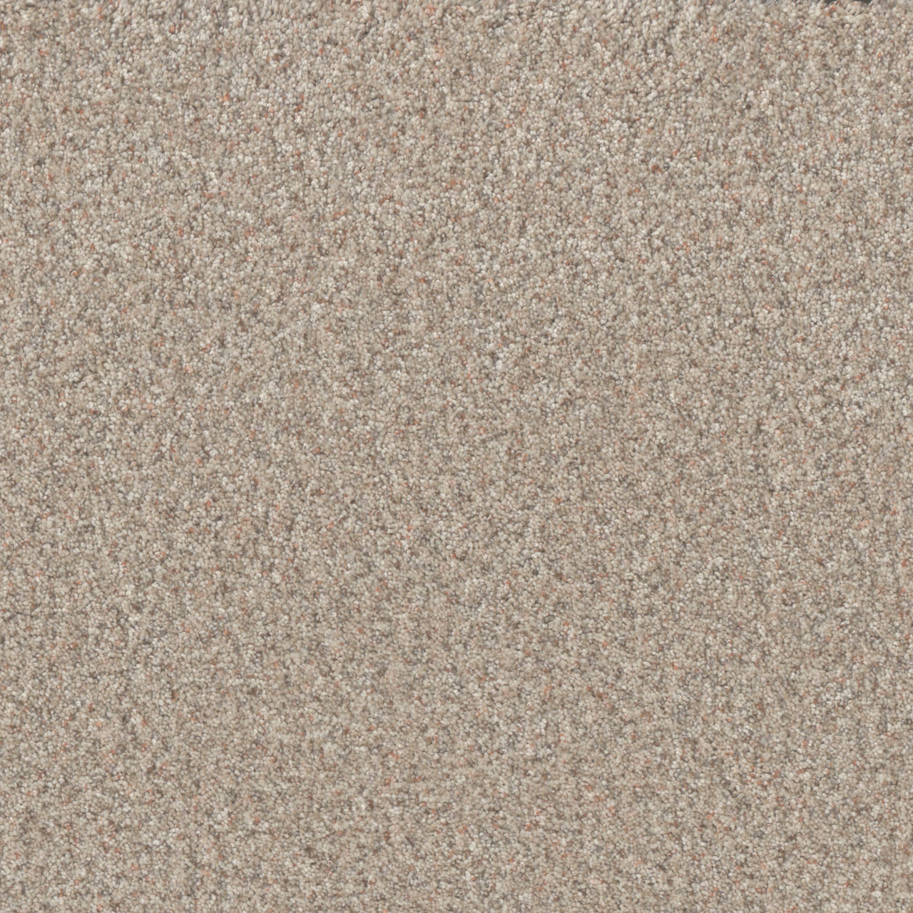 blossom-timberline-i-dreamweaver-carpet-rug