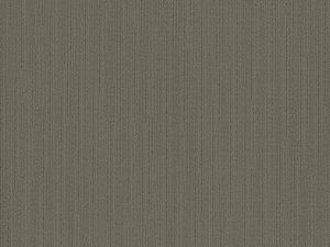 oyster-colorpoint-pentz-flooring-carpet-tile