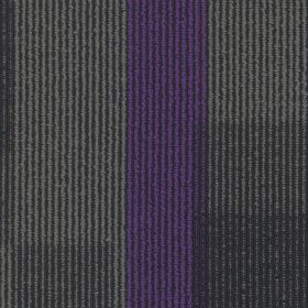 Royal Purple