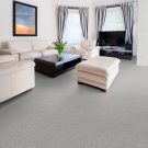 rs-1-pretty-penny-iii-dreamweaver-carpet-rug