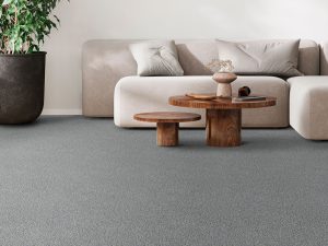 rs-2-pretty-penny-iii-dreamweaver-carpet-rug