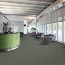 rs-domain-homepage-pentz-flooring-carpet-tile