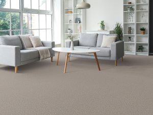 rs-timberline-iii-dreamweaver-carpet-rug