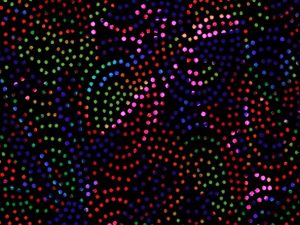 dancing-lights-fluorescent-joy-carpets