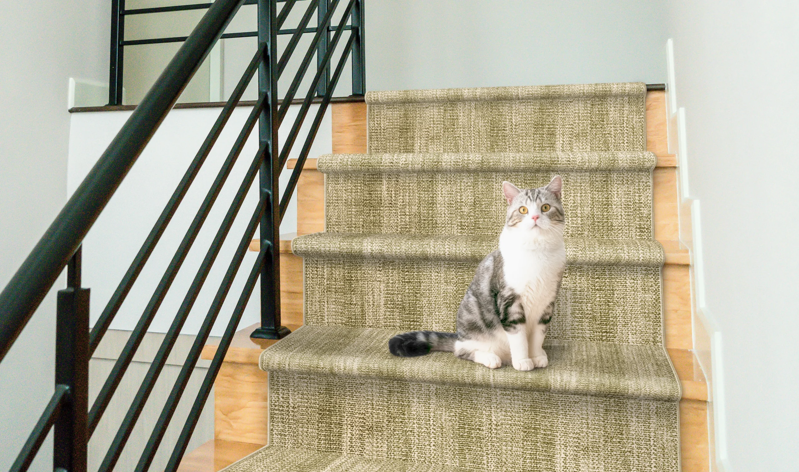 rs-olive-jasmine-stanton-carpet-rug