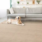 rs-putty-gwen-stanton-carpet-rug