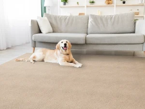 rs-putty-gwen-stanton-carpet-rug