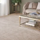 rs-buff-max-texture-nourtex-carpet-rug