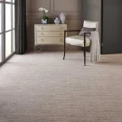rs-clay-point-pleasant-lateral-nourtex-carpet-rug