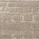 shell-tidal-ebb-tide-nourtex-carpet-rug