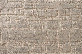 shell-tidal-ebb-tide-nourtex-carpet-rug
