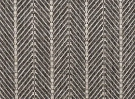 Coal