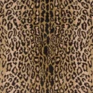 multicolor-wild-safari-runner-nourison-home-carpet-rug