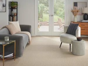 rs-agreeable-aspen-ii-j-mish-carpet-rug