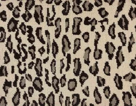 Snow Leopard