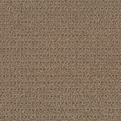 leather-bound-defined-masland-carpet-rug