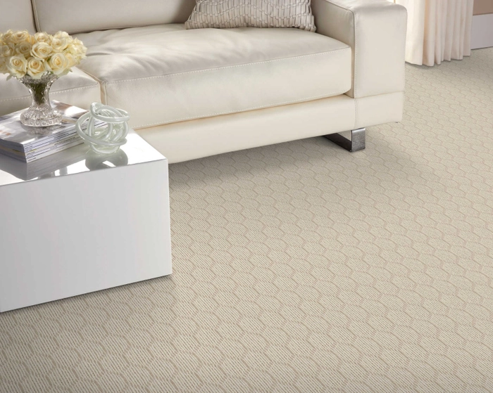 rs-ivory-plains-elements-oasis-hagaman-carpet-rug