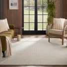 rs-platinum-sisal-splendor-j-mish-carpet-rug