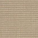 toast-mayfair-dot-hagaman-carpet-rug