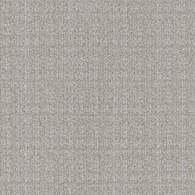 afghan-purebred-masland-carpet-rug