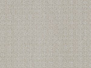 maltese-purebred-masland-carpet-rug