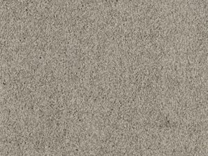 pirates-cove-oceanside-masland-carpet-rug