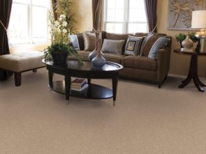 rs-toffee-novellino-masland-carpet-rug